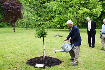 Faculty Tree Planting