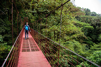 Kayleen in the Monteverde Cloud Forest Biological Preserve, Monteverde, Costa Rica, February 8, 2020. Photograph by Will Cioci.